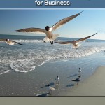 Social Media for Business by Martin Brossman