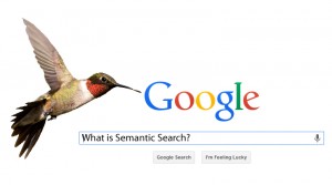 Google Hummingbird Training